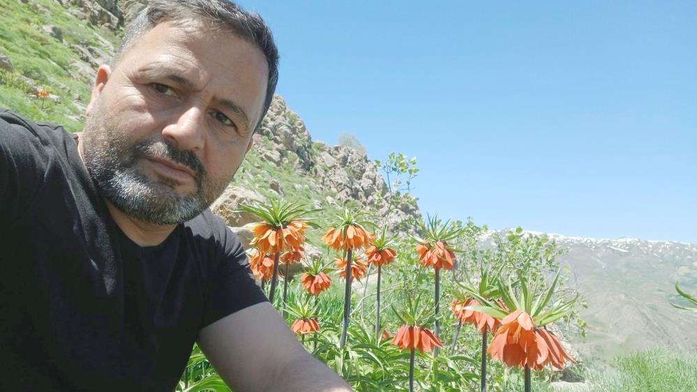 Hakkari’de 2 bin 700 rakımda ters laleler görüntülendi