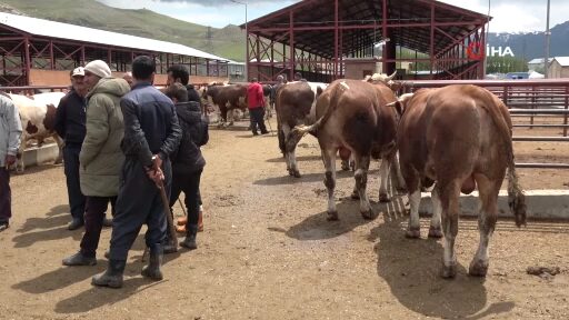 Uzmanından kurban eti uyarısı: “En az 12-24 saat dinlendirin”