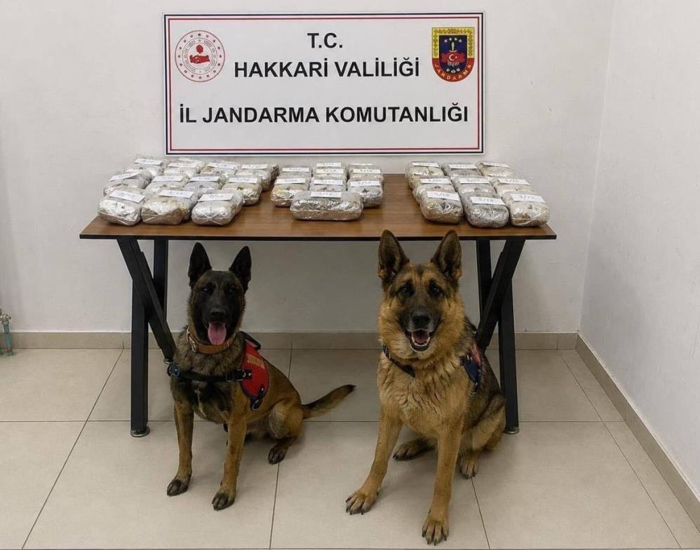 Şemdinli’de 21 kilo 650 gram toz esrar ele geçirildi