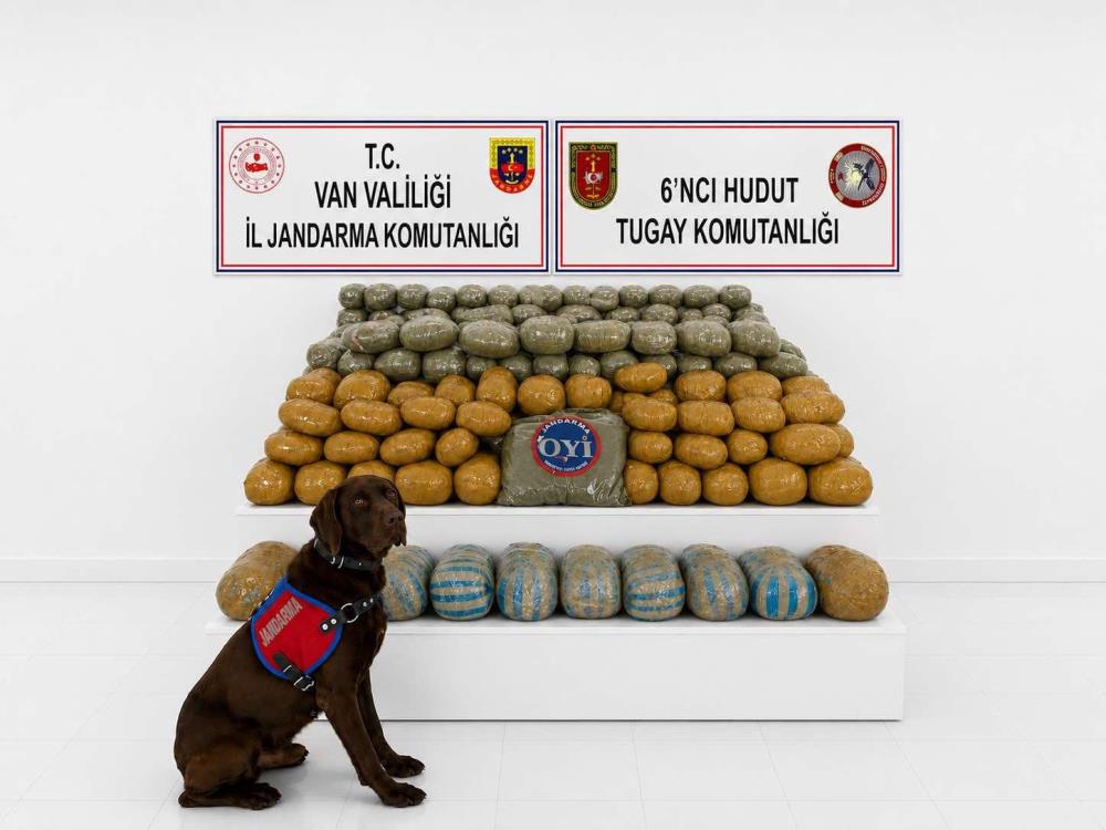 Van’da 291 kilogram toz esrar ele geçirildi