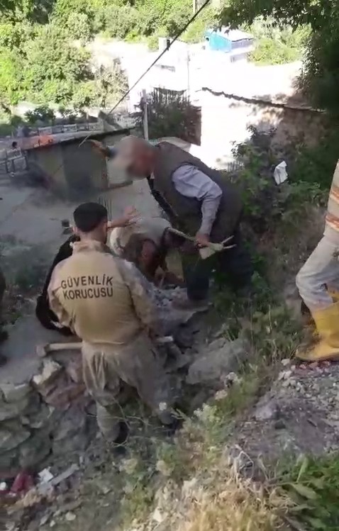 Şırnak’ta kadına şiddet iddiası: 2 gözaltı