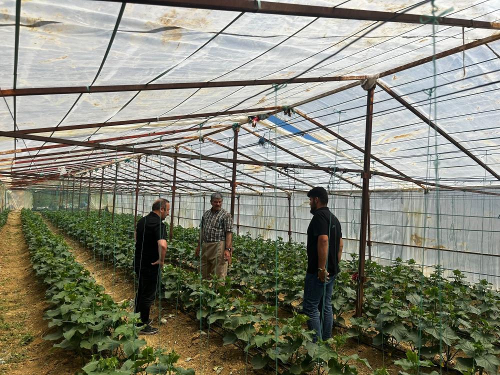 Yüksekova Tarım ve Orman Müdürlüğü ekiplerinden çiftçilere saha desteği