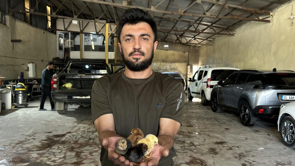 Bir belgesel izledi, hayatı değişti: Oto yıkama dükkanından tavukçuluk fabrikasına uzanan azim hikayesi