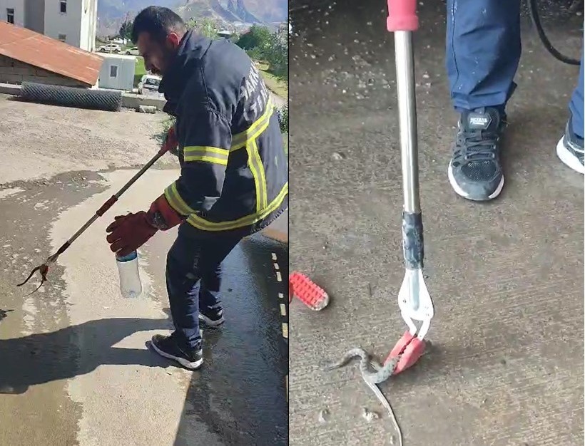 Hakkari’de aracın motor bölmesine giren yılan çıkarıldı