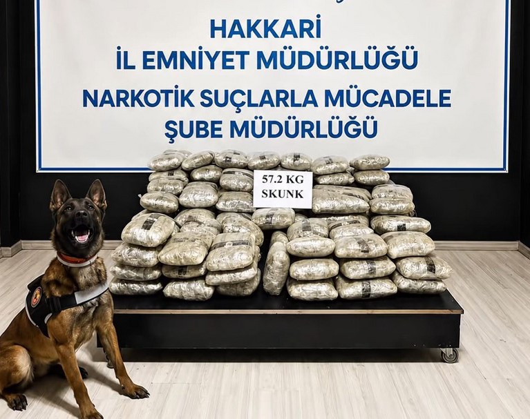 Hakkari’de 57 kilo 200 gram skunk ele geçirildi