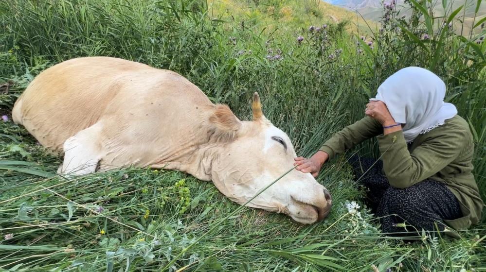 Yüksekova’da yürek yakan görüntü: Uçurumdan düşerek telef olan ineğine sarılıp saatlerce ağladı