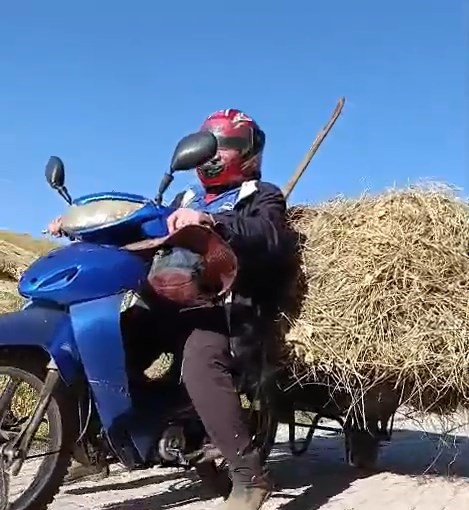 Yüksekovalı vatandaşın pratik zekası: Motosikletin arkasına el arabası bağlayarak üzerinde ot taşıdı