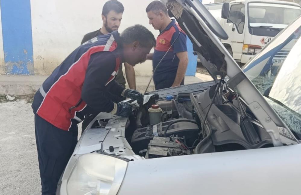 Yüksekova’da araçta mahsur kalan kedi kurtarıldı
