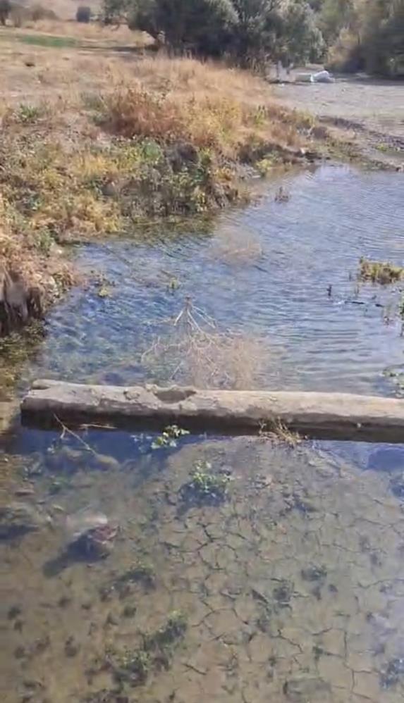 Yüksekova’da su seviyesi düşen alanda balık kurtarma seferberliği