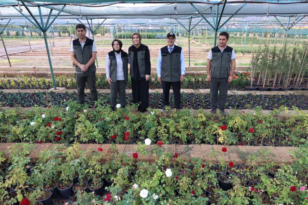 Bingöl’de 72 dönümlük fidanlıkta 18 farklı türde üretim yapılıyor