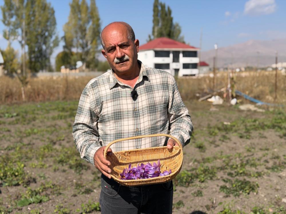 Esnaflığı bıraktı, tarlada serveti buldu: Kilosu 1 milyon lirayı bulan “kırmızı altın” hayatını değiştirdi